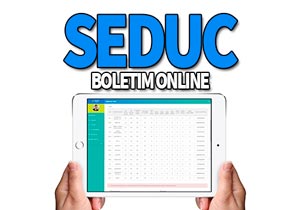 SEDUC Boletim Online 2020