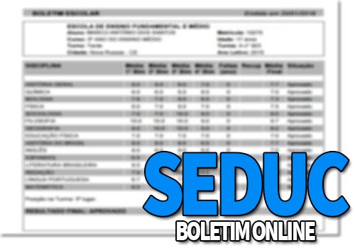 SEDUC Boletim Online 2022