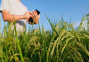 Curso Técnico Agronegócio 2020