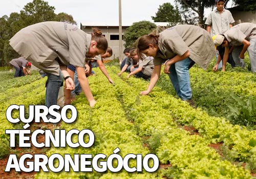 Curso Técnico Agronegócio 2020