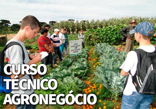 Curso Técnico Agronegócio 2020