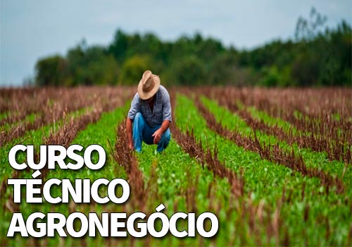 Curso Técnico Agronegócio 2020