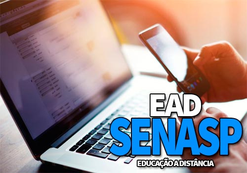EAD SENASP 2020