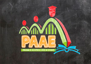 PAAE 2020