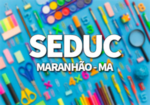 SEDUC MA 2020